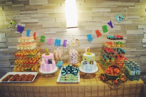 2015-01-26 04.38.27 1