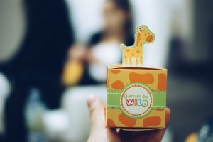 2015-02-02 05.06.22 1