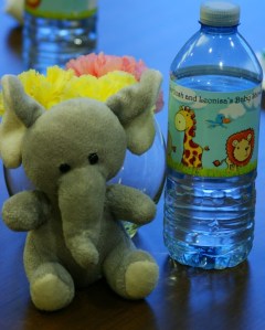 2015-02-05 08.21.10 1